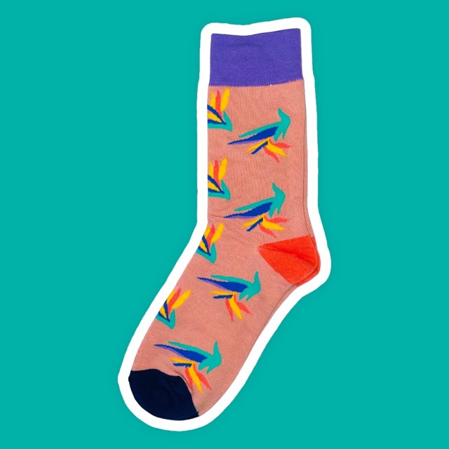 Bird socks