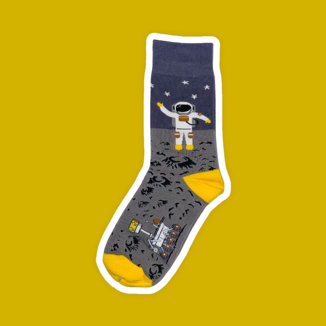 The Moon socks