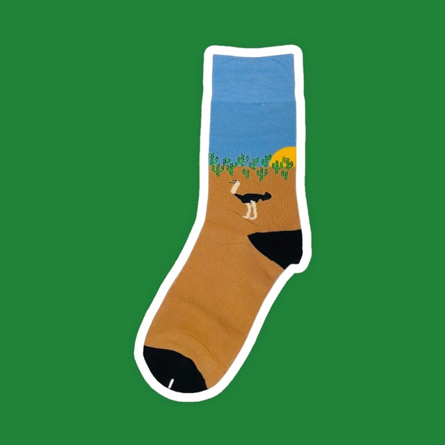 Ostrich socks